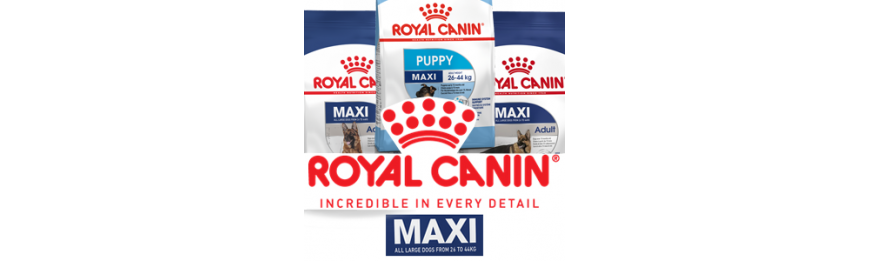 [ROYAL CANIN 法國皇家] MAXI 大型犬系列